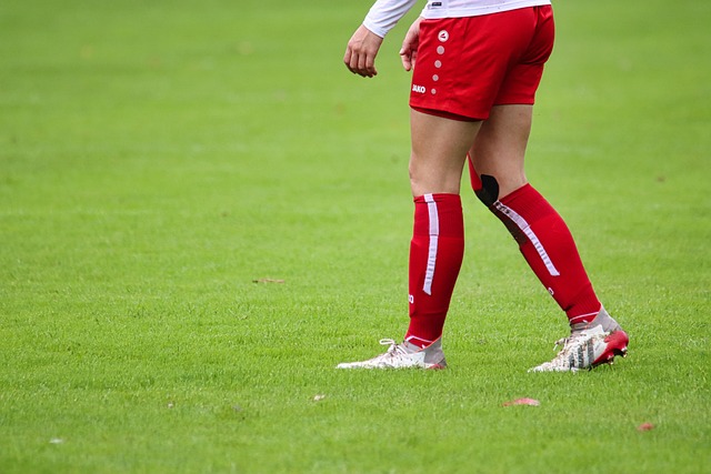 并且他们的 并且他们的